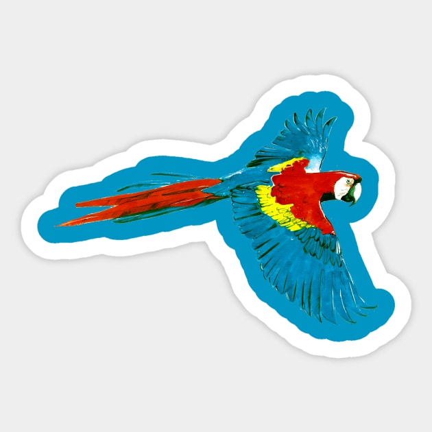 Watercolor Scarlet Macaw 1 Sticker by A.E. Kieren Illustration